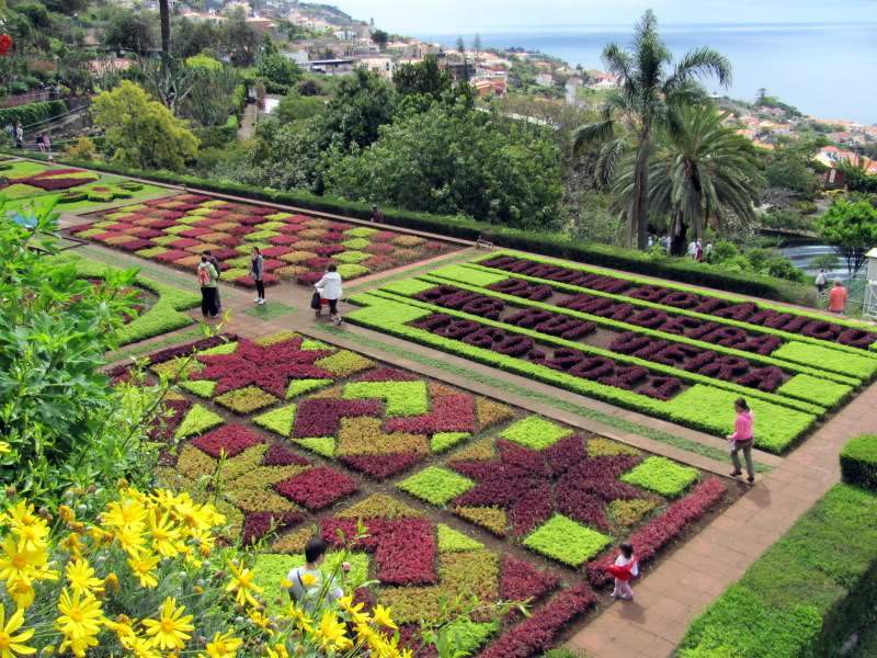 ai998.photobucket.com_albums_af110_tininharibeiro_MADEIRA_MADEIRA2011604.jpg