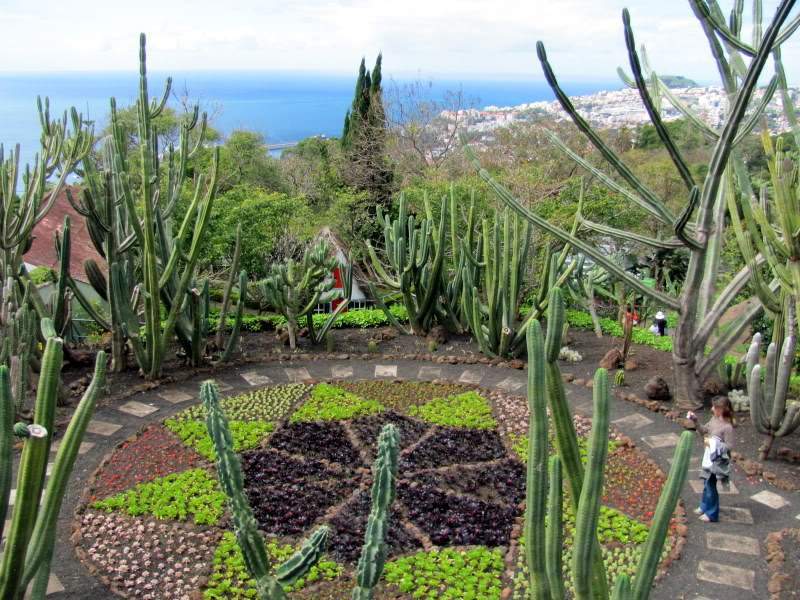 ai998.photobucket.com_albums_af110_tininharibeiro_MADEIRA_MADEIRA2011620.jpg