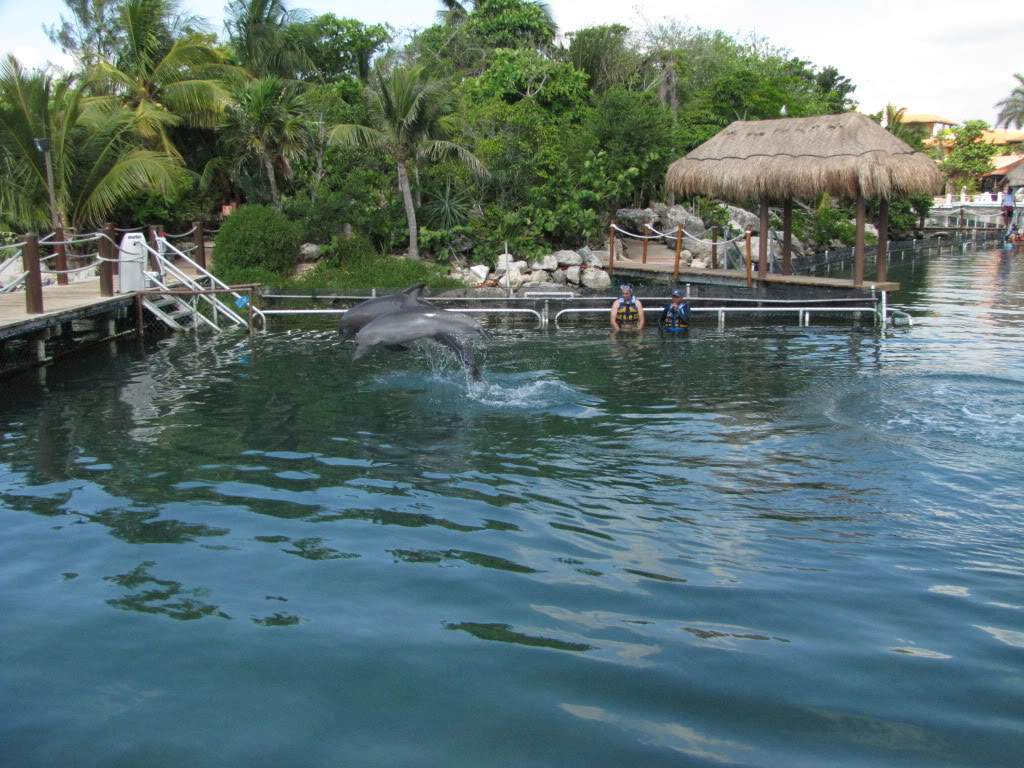 ai999.photobucket.com_albums_af115_ccolaco_IMG_1650.jpg