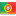 aicons.iconarchive.com_icons_custom_icon_design_all_country_flag_16_Portugal_Flag_icon.png