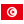 aicons.iconarchive.com_icons_gosquared_flag_24_Tunisia_flat_icon.png