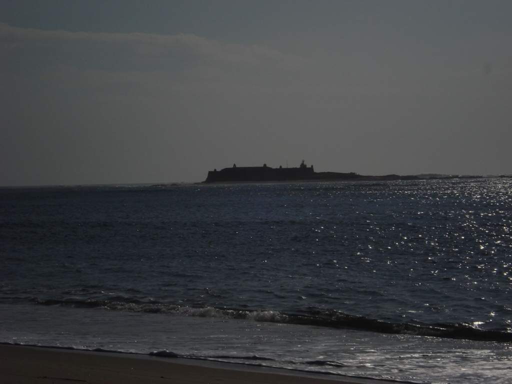 aimages.tapatalk_cdn.com_15_07_07_0cecce33c5fc0b9ad5c39f9b9d260b38.jpg