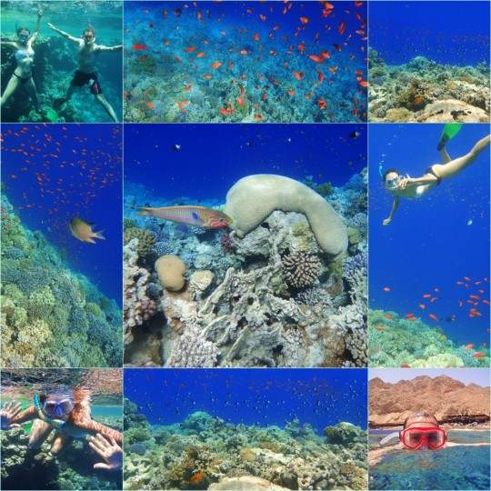 akikiaroundtheworld.com_wp_content_uploads_2014_02_Dahab_540x540.jpg