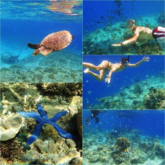 akikiaroundtheworld.com_wp_content_uploads_2014_02_Gili_Islands_540x540.jpg
