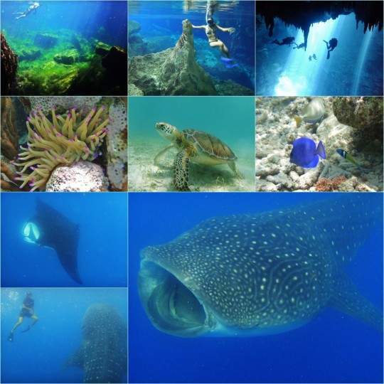 akikiaroundtheworld.com_wp_content_uploads_2014_02_Yucatan_540x540.jpg