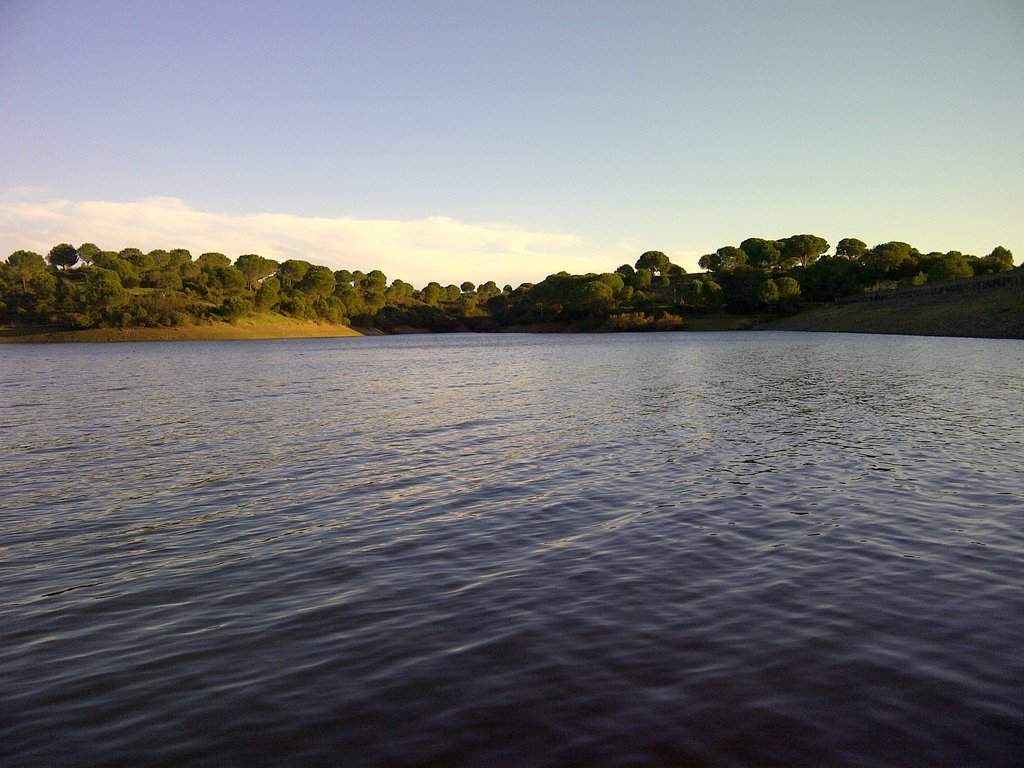 Alcacér do Sal-20121201-00365.jpg