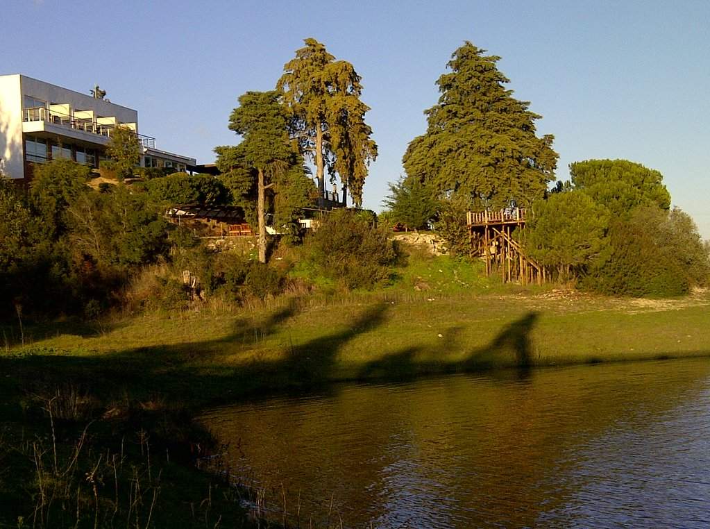 Alcacér do Sal-20121201-00369.jpg
