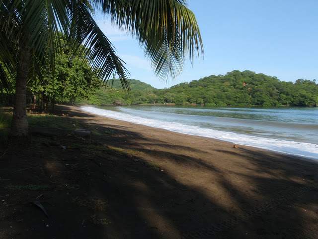 alh3.ggpht.com__DiEIy4r8Z_o_THP_NlUJWUI_AAAAAAABnpA_aV2iOyZwq8c_s640_P8177705.JPG