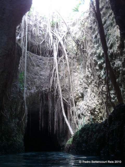alh3.ggpht.com__YqjfJmy_GAM_S_czeSdum1I_AAAAAAAABV0_hqv_V2tSuUs_s640_PICT0109.JPG