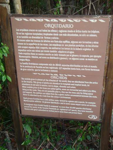 alh3.googleusercontent.com__2PxKGX3v6DY_UORM8JVS_3I_AAAAAAAAAxg_fk4cFL98JM0_s512_DSC06700.JPG