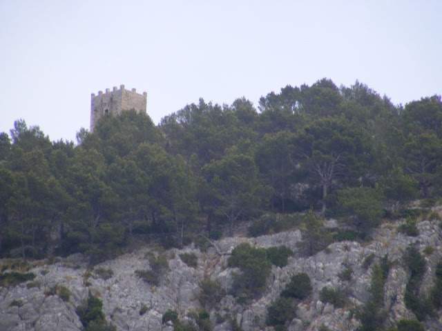 alh4.ggpht.com__ueoWHODZ5tA_SoRpeFPD3wI_AAAAAAAAAEA_Qn7e6mWjCDM_s640_Maiorca__20705.jpg
