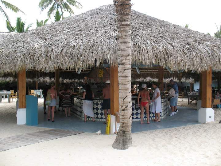 alh4.ggpht.com__uMht6qW_Epw_SlNjjTIvG4I_AAAAAAAAAFM_dIiu0bgLDNU_s720_Punta_20Cana_20068.JPG