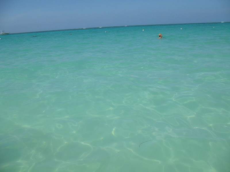 alh4.ggpht.com__uMht6qW_Epw_SmNmIJ_0npI_AAAAAAAAATk_4Da9mcKAOVU_s800_Punta_20Cana_20089.JPG
