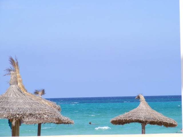 alh5.ggpht.com__ueoWHODZ5tA_SoRpbnH_74I_AAAAAAAAAD0_VgAcMs1_TVQ_s640_Maiorca__20653.jpg