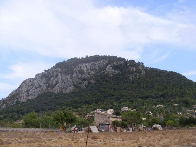 alh5.ggpht.com__ueoWHODZ5tA_SoRpdWarTZI_AAAAAAAAAD8_3iKleJmN8n0_s640_Maiorca__20703.jpg