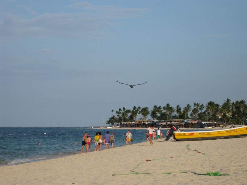 alh5.ggpht.com__uMht6qW_Epw_SmNxPeVIcqI_AAAAAAAAAgQ_hFLhXUmNXs0_s800_Punta_20Cana_0149.JPG