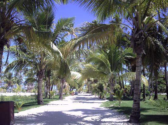 amedia_cdn.tripadvisor.com_media_photo_s_01_1b_dc_f3_pathway_to_beach.jpg