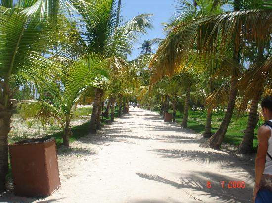 amedia_cdn.tripadvisor.com_media_photo_s_01_1f_e2_6f_pathway_to_the_beach.jpg
