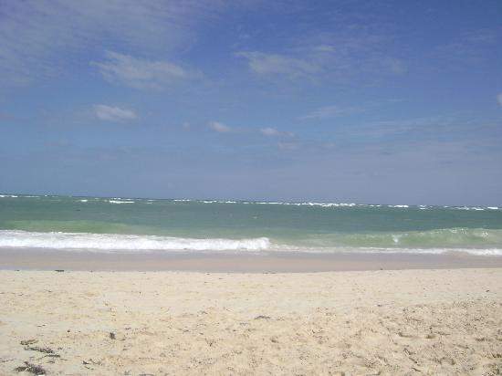 amedia_cdn.tripadvisor.com_media_photo_s_01_c8_5e_02_playa_del_hotel_riu_bambu.jpg