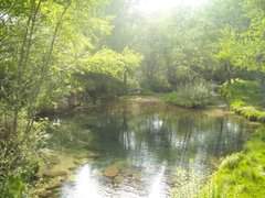 amob753.photobucket.com_albums_xx173_sofiaisa_DSCN0641.jpg
