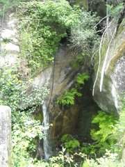 amob753.photobucket.com_albums_xx173_sofiaisa_DSCN0739.jpg