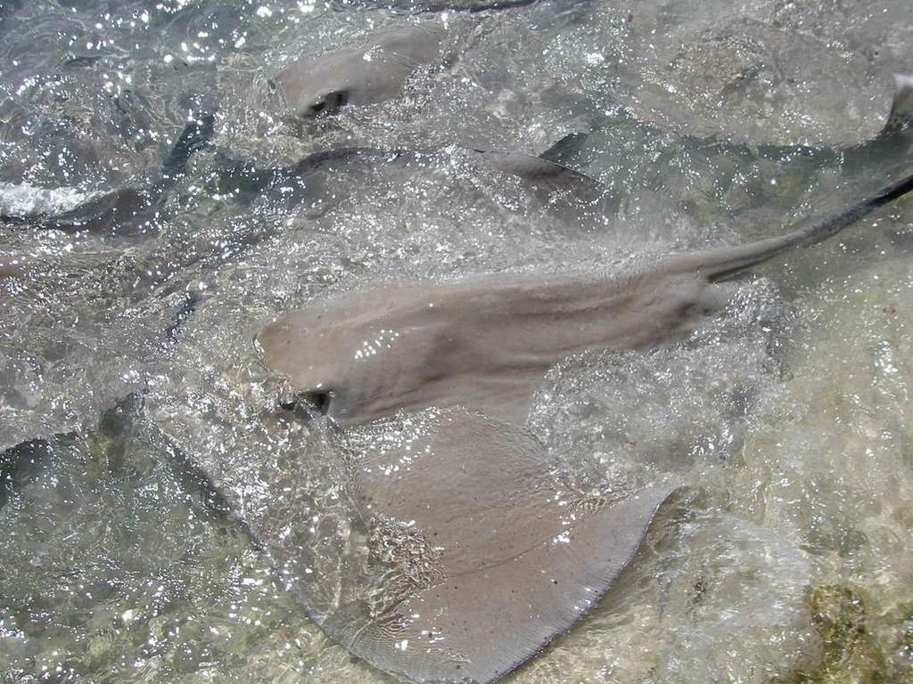 as10.postimg.org_velzxhzft_P9262223.jpg