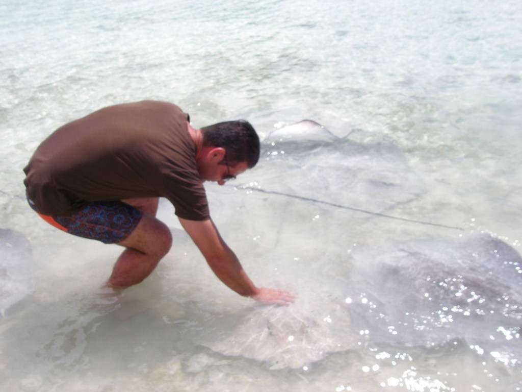 as11.postimg.org_v9ac7k38z_P9252131.jpg