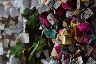 as12.postimg.org_4q2ltaq8t_DSC_0492.jpg