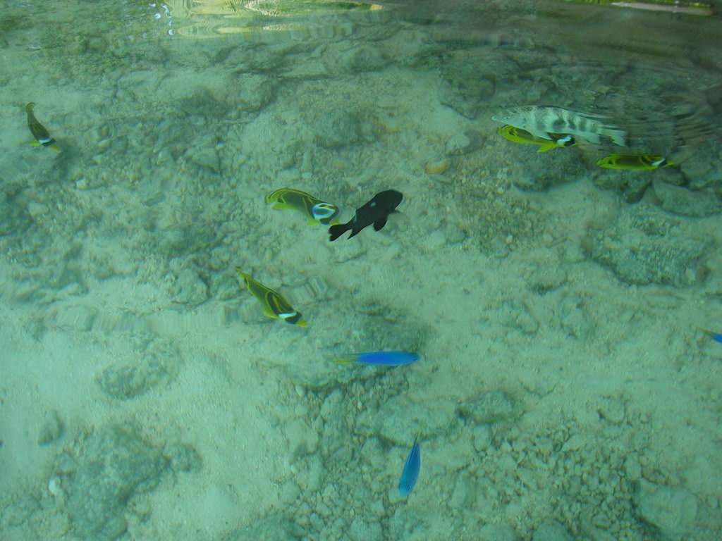 as12.postimg.org_9hxl4bqy5_P9252152.jpg