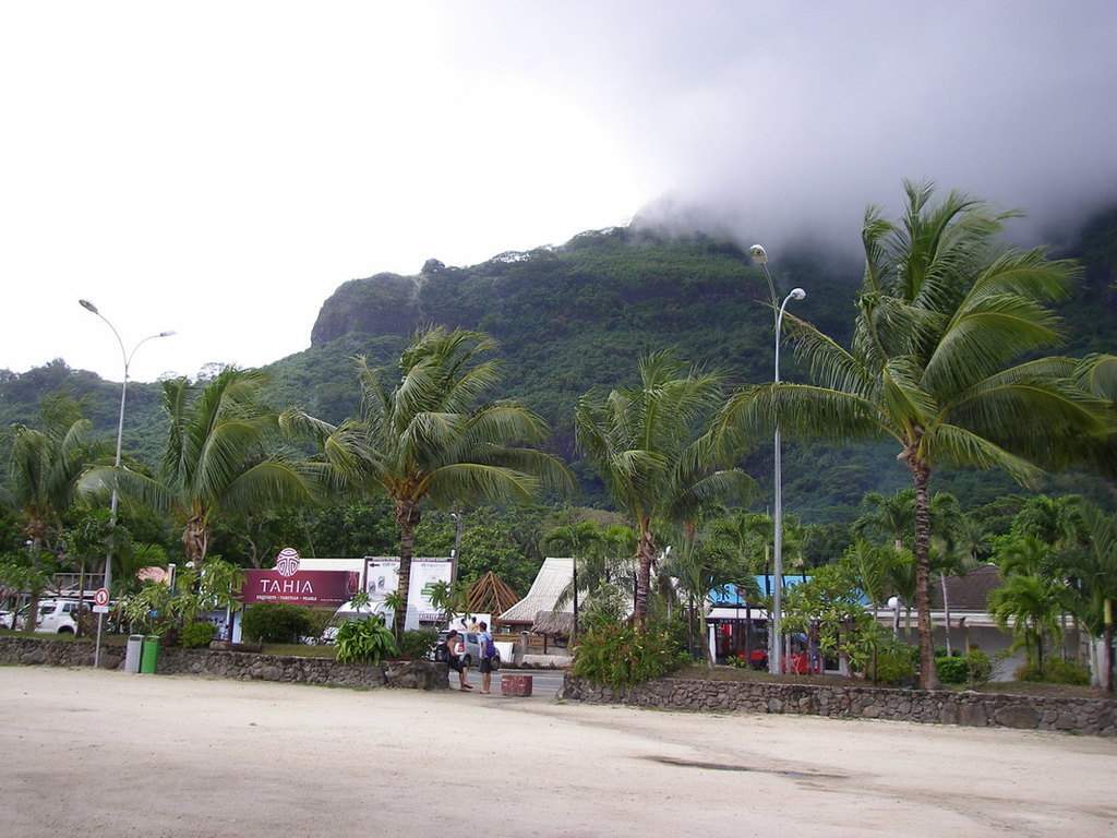 as13.postimg.org_rcpanm96v_P9242031.jpg