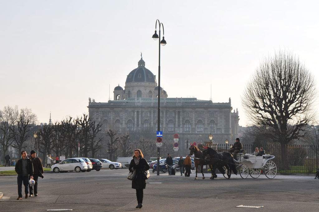 as14.postimg.org_bsoiqbhq9_DSC_0135.jpg