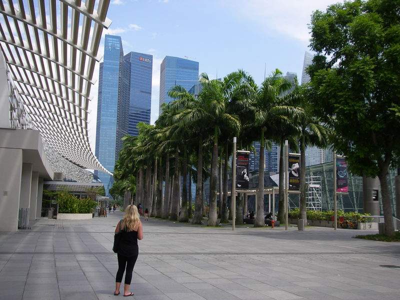 as14.postimg.org_ta8dcdwgh_P6290494.jpg