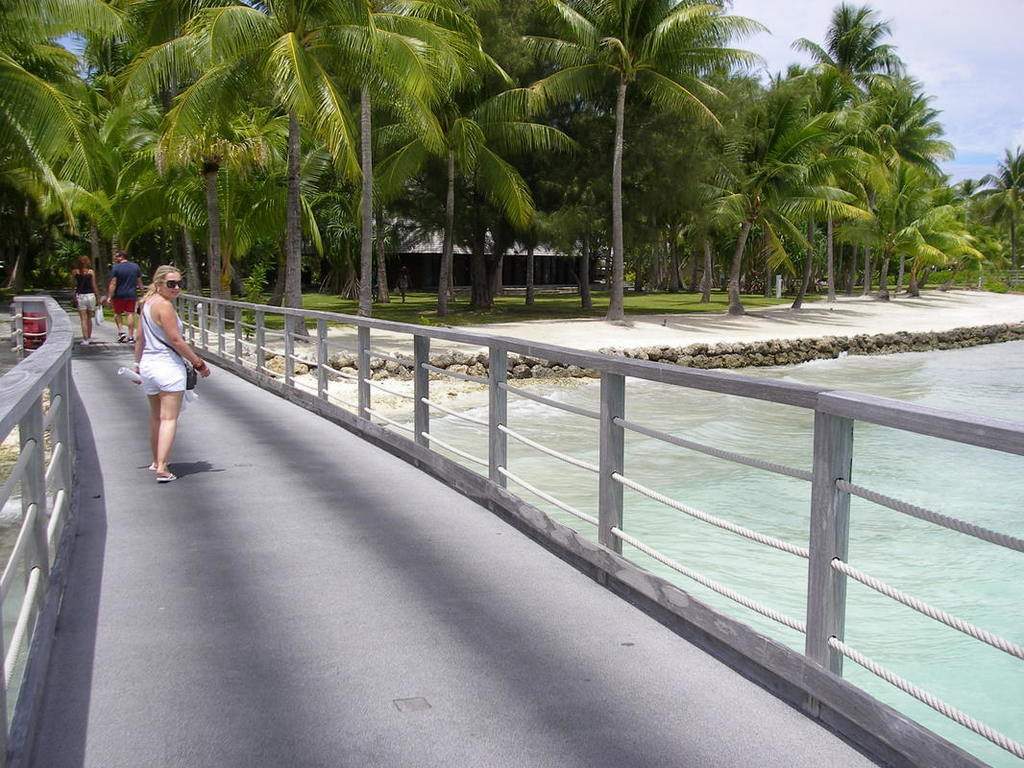 as16.postimg.org_ll3n87jad_P9242048.jpg