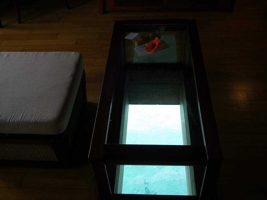 as17.postimg.org_wa8lm85qn_P9211803.jpg