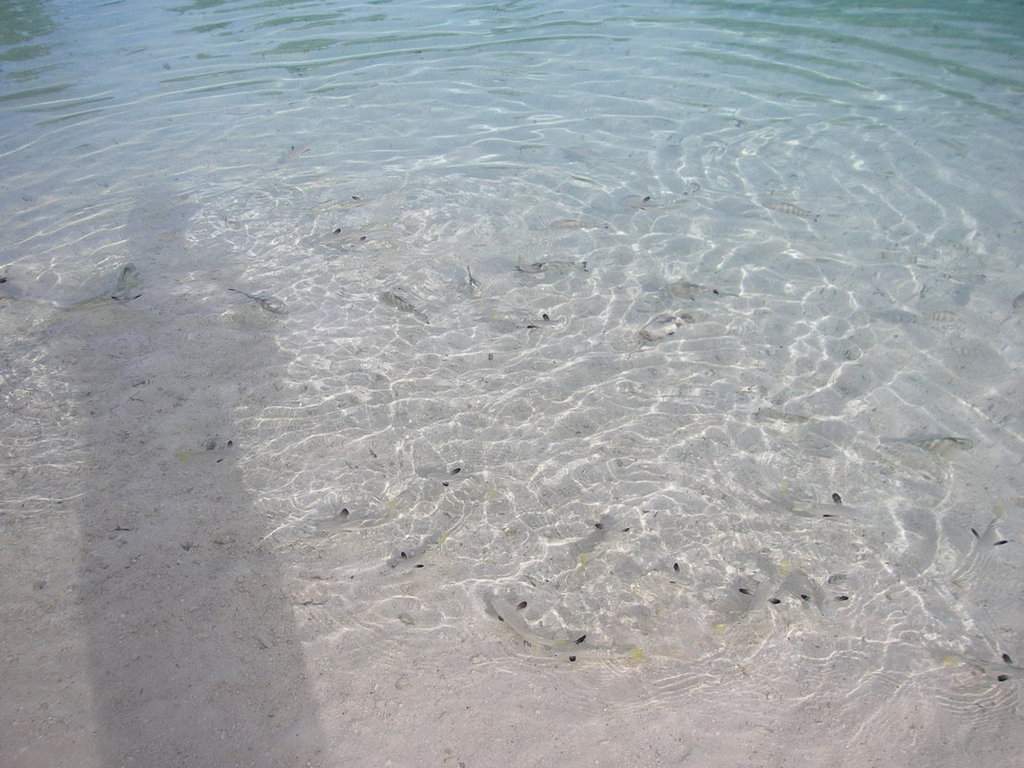 as21.postimg.org_972bdukxz_P9272267.jpg