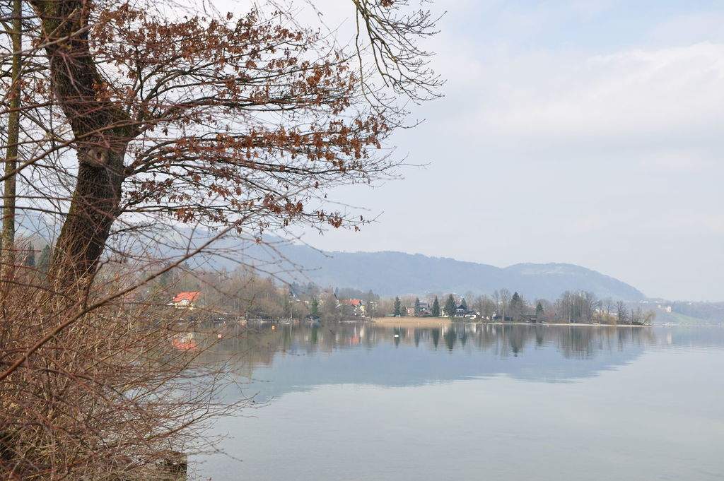 as22.postimg.org_g8nxm6u75_DSC_0291.jpg