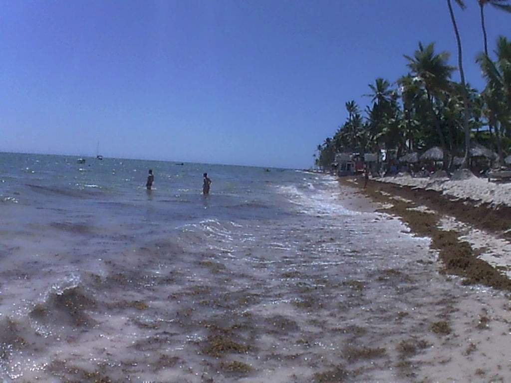 as26.postimg.org_7bryfvmo9_SUNP0007.jpg