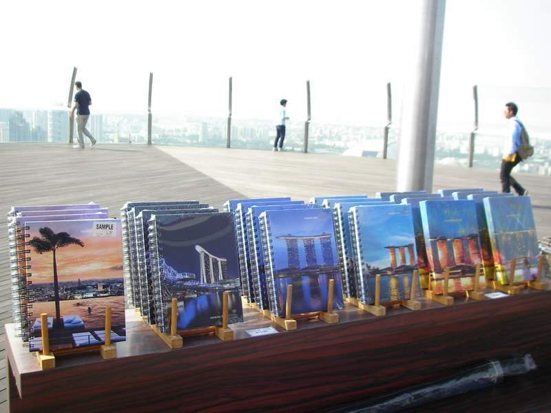 as27.postimg.org_c6gos3gir_P6290547.jpg