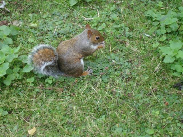 as28.postimg.org_iqs50psgt_DSC07342.jpg