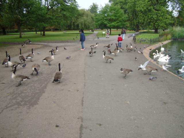 as28.postimg.org_wy8mxvqe5_DSC07109.jpg