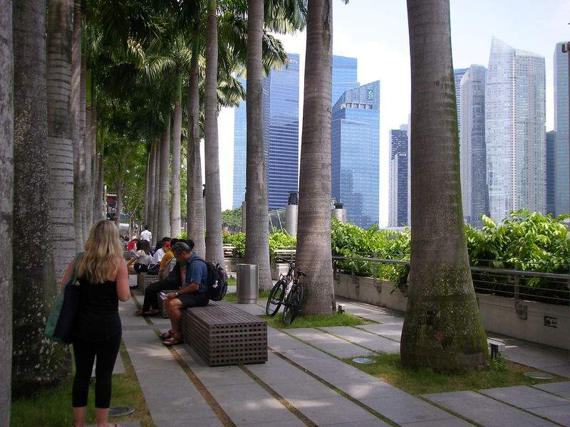 as3.postimg.org_h6hmuytkz_P6290492.jpg