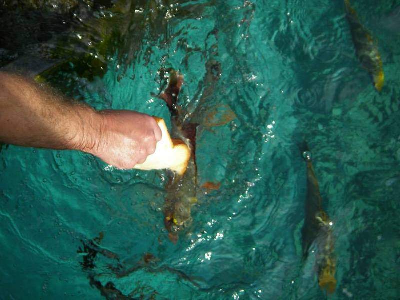 as3.postimg.org_r12bo2t9f_521941_10200875595517577_1340540351_n.jpg
