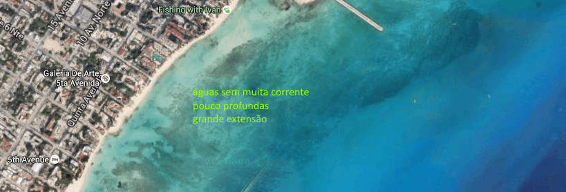 as5.postimg.org_r4m1se1tj_playa_del_carmen.png