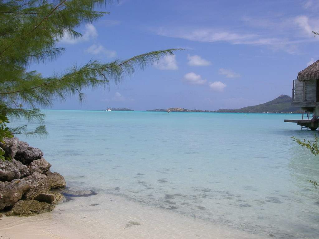 as9.postimg.org_3uh3t78lr_P9211786.jpg