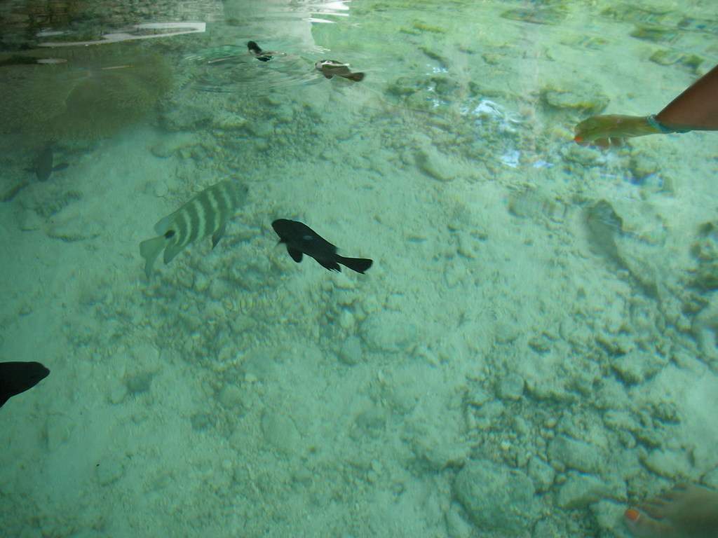 as9.postimg.org_xpqmjpcan_P9252148.jpg
