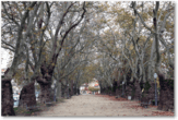 asigarra.up.pt_rep_av_pedificios_001_tb_1005868_18_tb.png