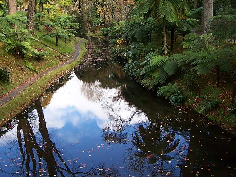 awww.azores.gov.pt_NR_rdonlyres_F1B5A6CA_7084_4957_BA69_1F94FB227114_158650_terra_nostra.jpg