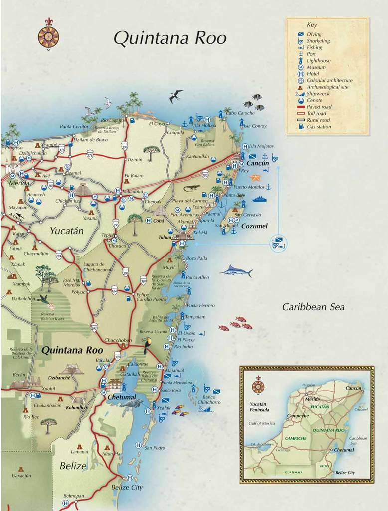 awww.nadir.org_nadir_initiativ_agp_free_cancun_map_quintana_roo.jpg