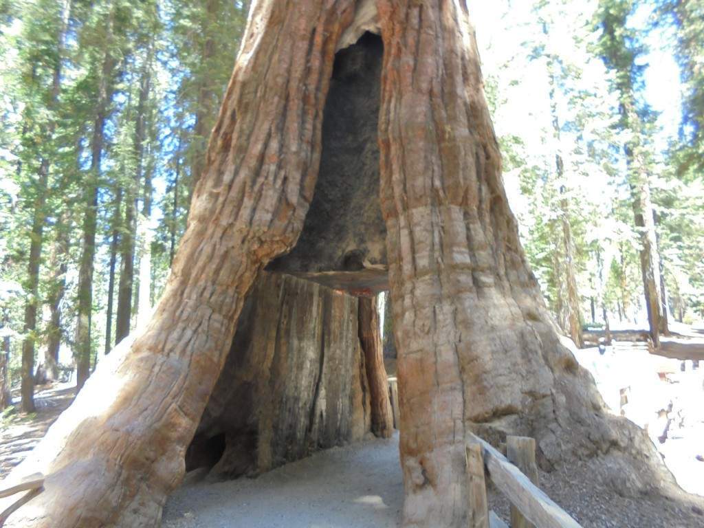 awww.pedropt.com_sonhosdooeste_wp_content_uploads_2014_11_44_Yosemite_1024x768.jpg