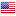 awww.printableworldflags.com_icon_flags_16_United_20States_20of_20America.png